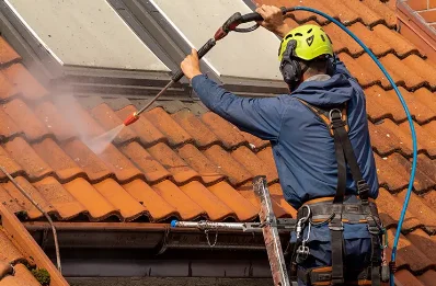 Démoussage et hydrofuge de toiture à Guéreins